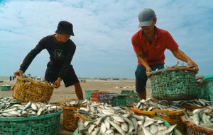 Minh họa đổi mục tiêu khi bắn cá từ cá lớn sang đàn cá nhỏ