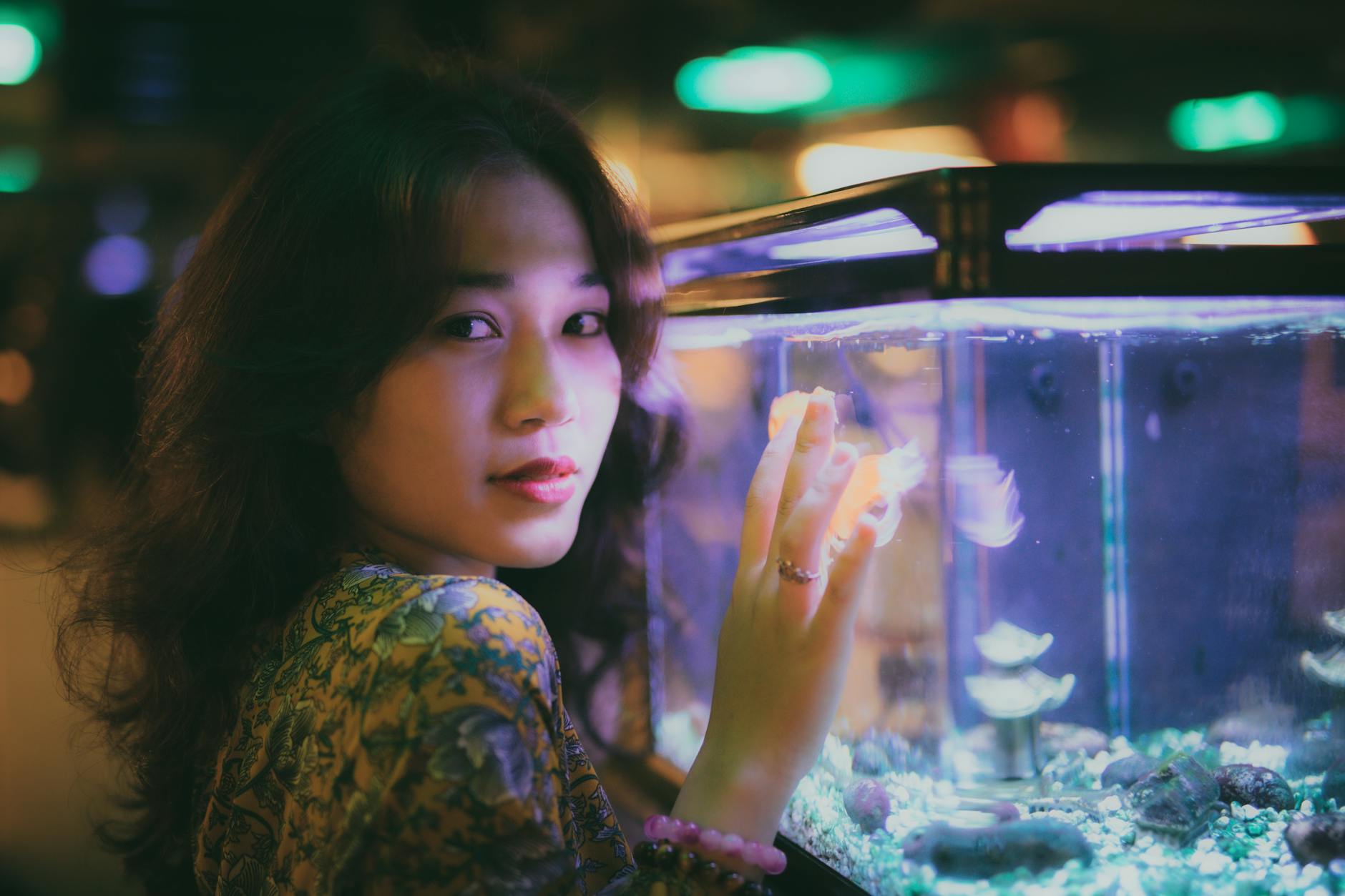 Cá lớn bơi giữa màn hình với góc bắn thuận lợi để người chơi canh chia đạn